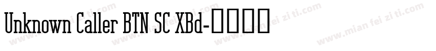 Unknown Caller BTN SC XBd字体转换